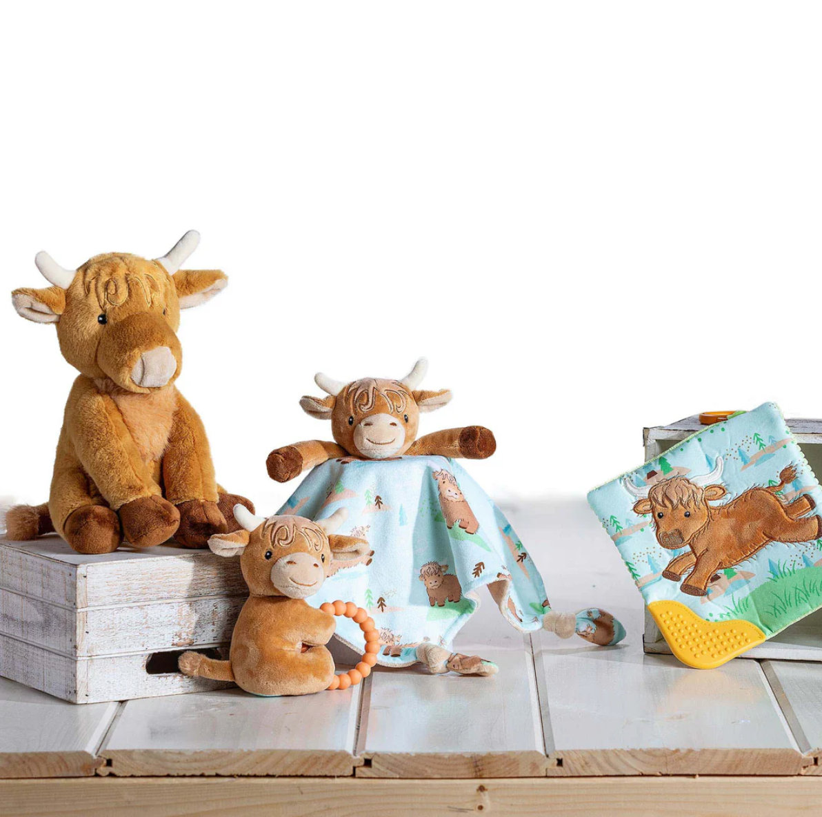 Character Blanket -