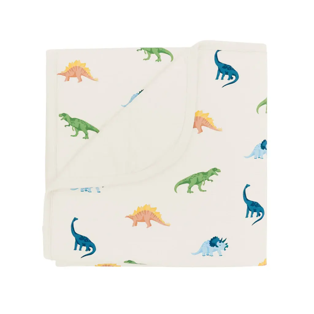 Kyte Baby Blanket