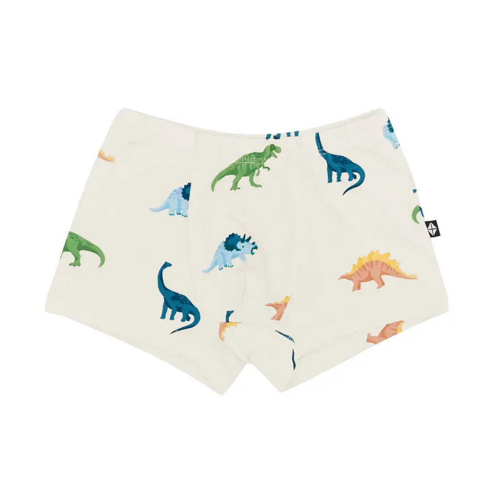 Kyte Briefs