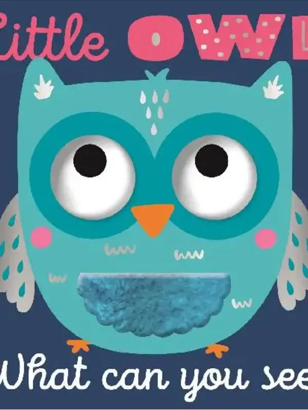 Little Owl What Can You See?