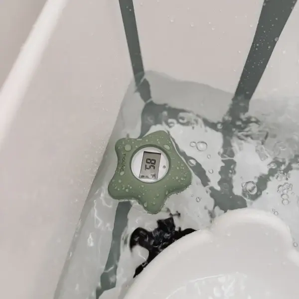 Bathtub Thermometer