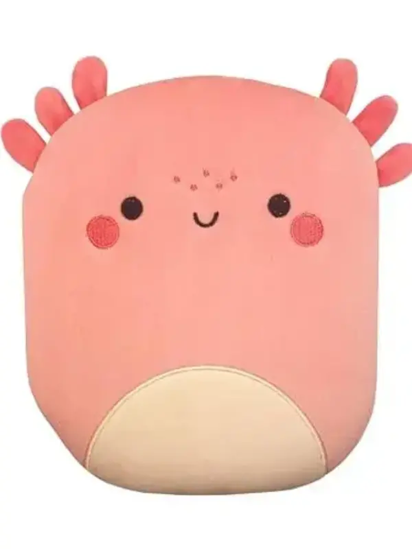 Groovy Axolotl w/ Plush Cover