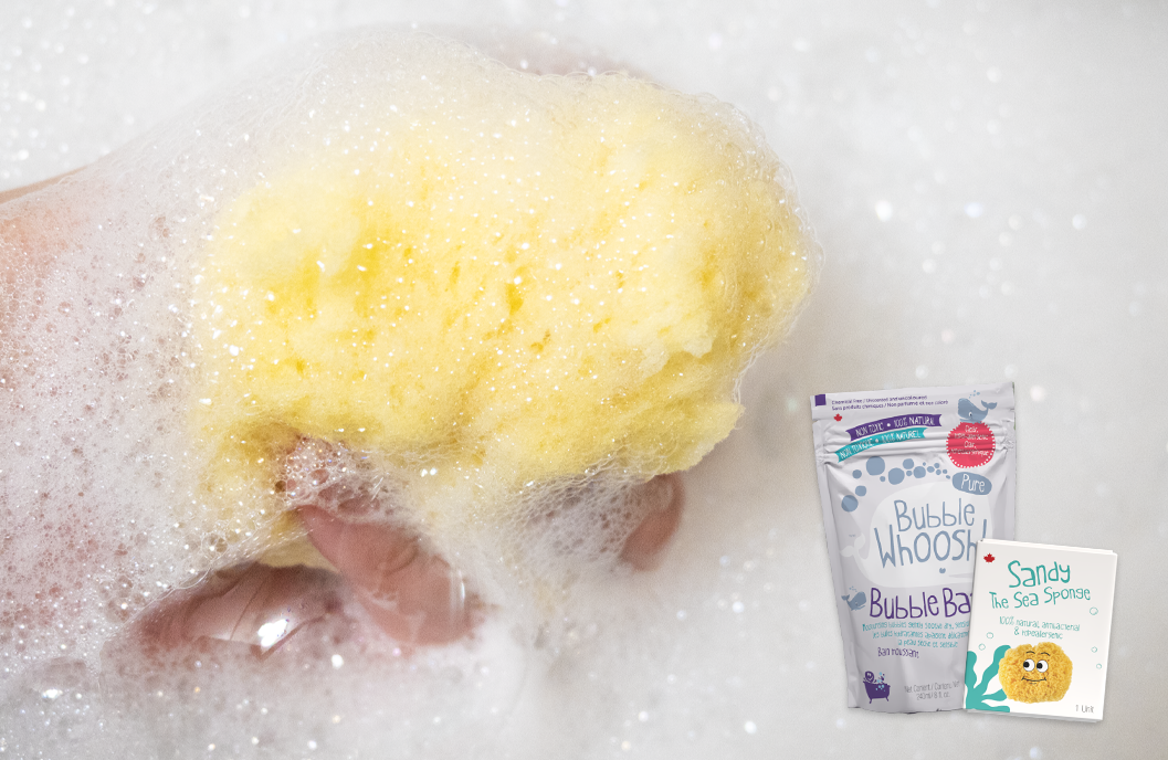 Sandy the Sea Sponge