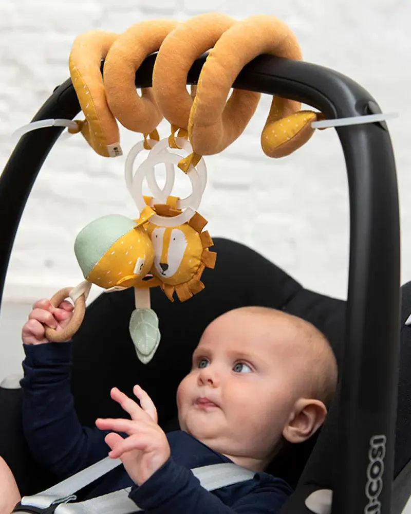 Activity Spiral