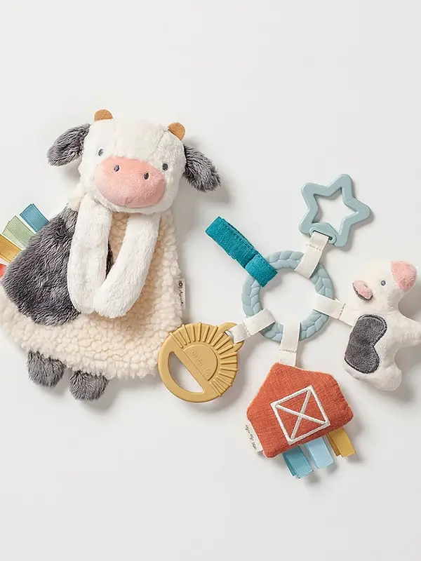 Itzy Ritzy Bitzy Busy Gift Set