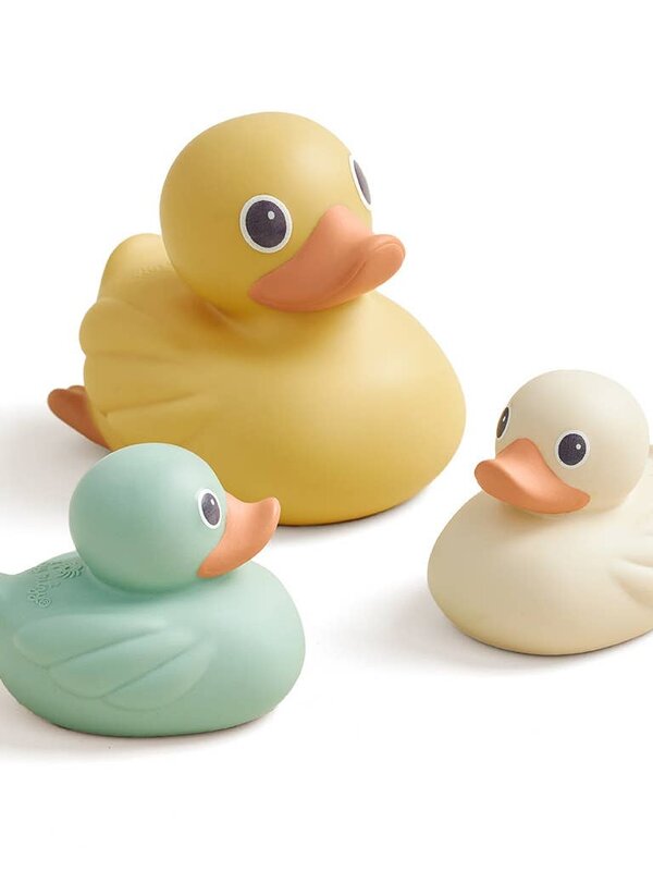 Itzy Ritzy Itzy Ducky Family