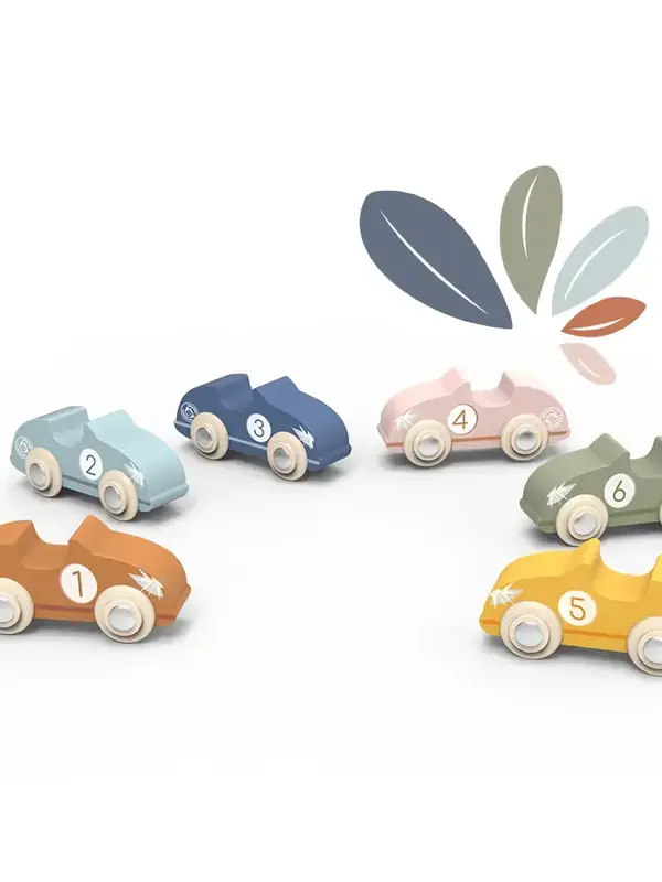 Speedy Monkey Race Car