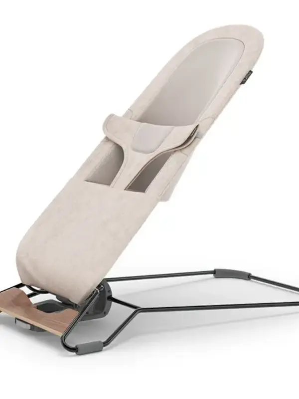 Mira 2-in-1 Bouncer Charlie