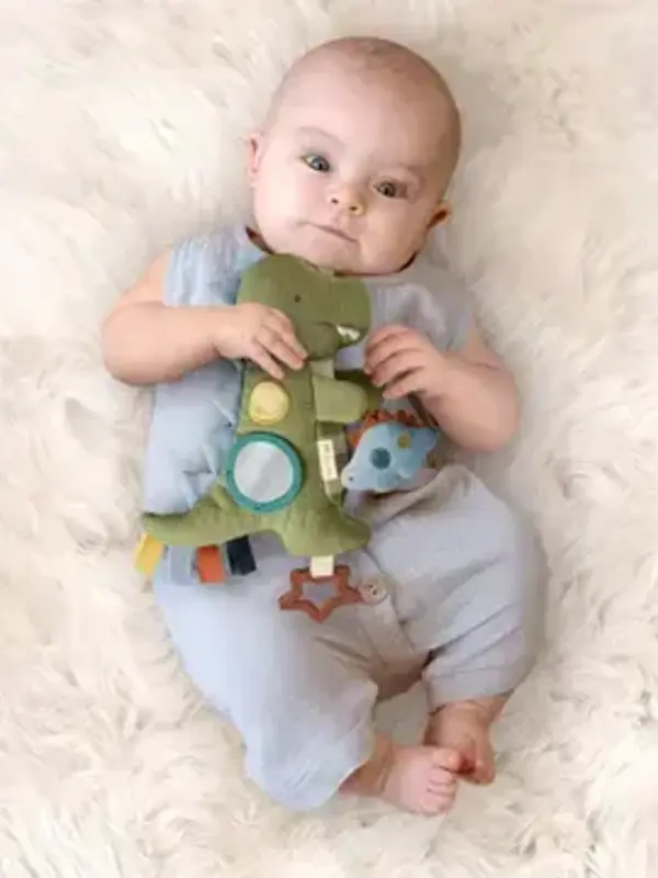 Itzy Ritzy Bitzy Traveler Toy - Dinosaur