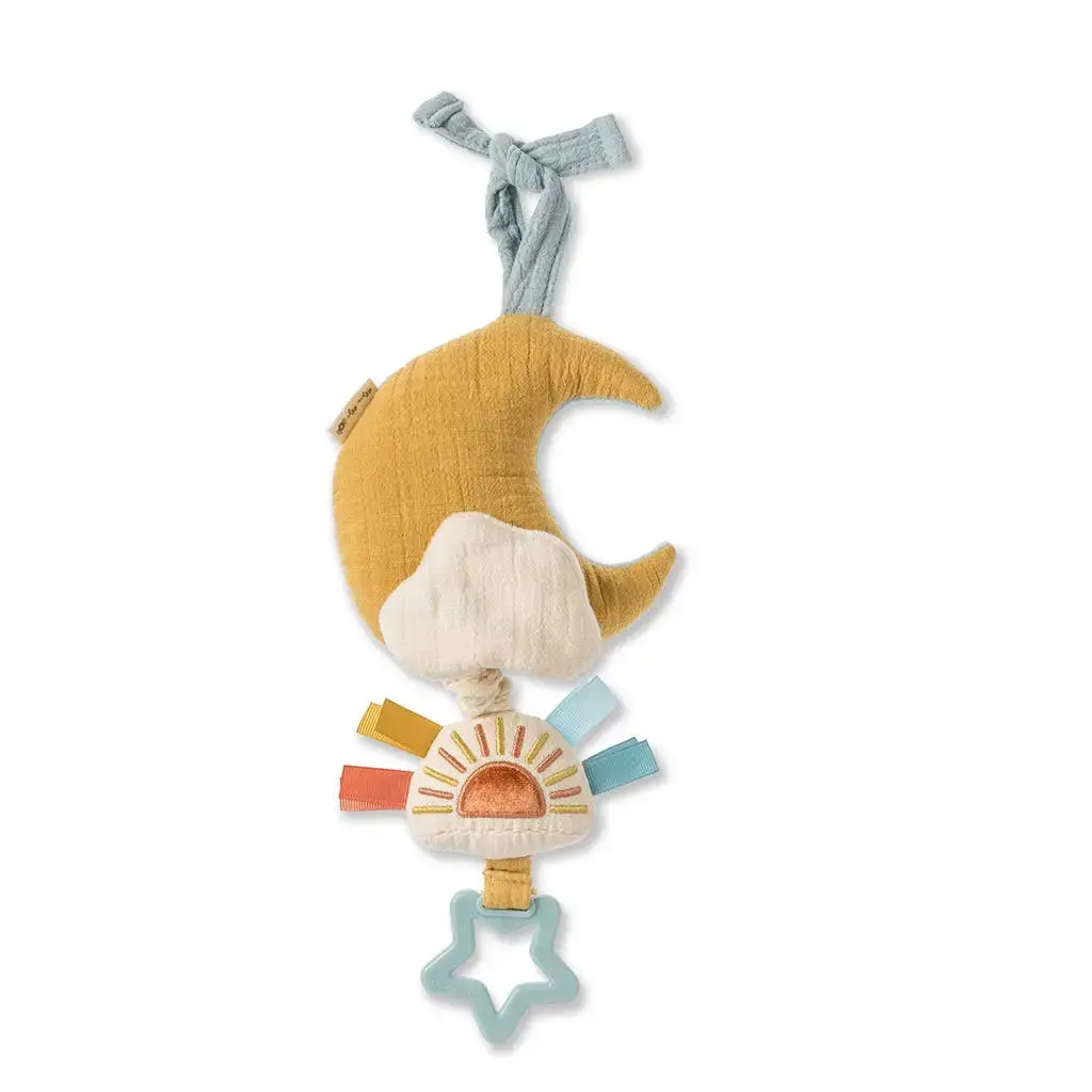 Bitzy Notes - Cloud/Sun Musical Pull Toy