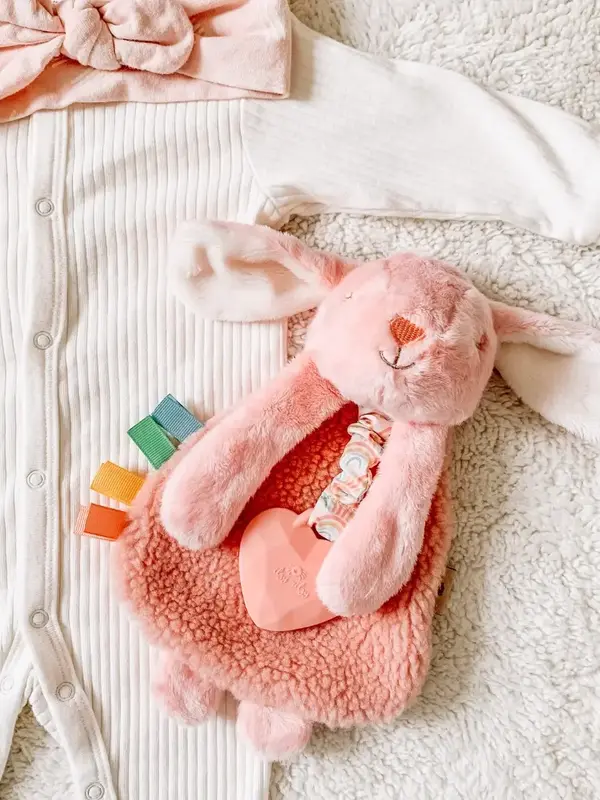 Itzy Ritzy Itzy Friends Plush Lovey