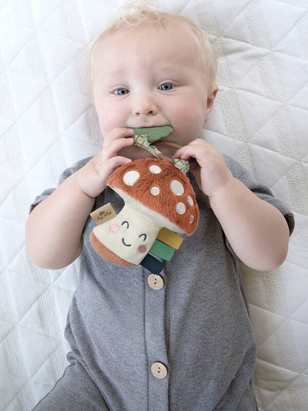 Itzy Ritzy Itzy Pal Plush + Teether