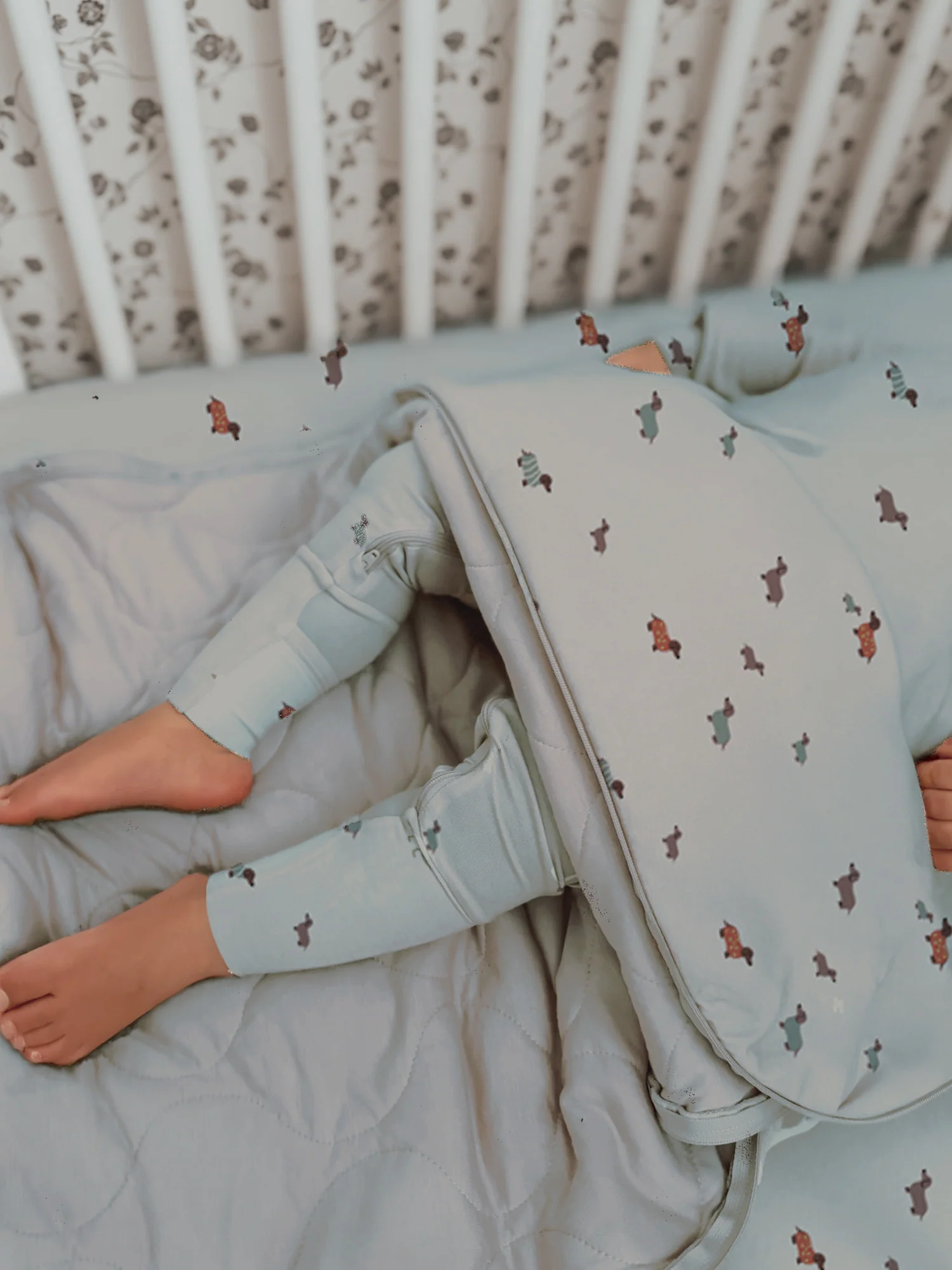 Bamboo Long Sleeve Sleep Bag - Woof 2.5 TOG