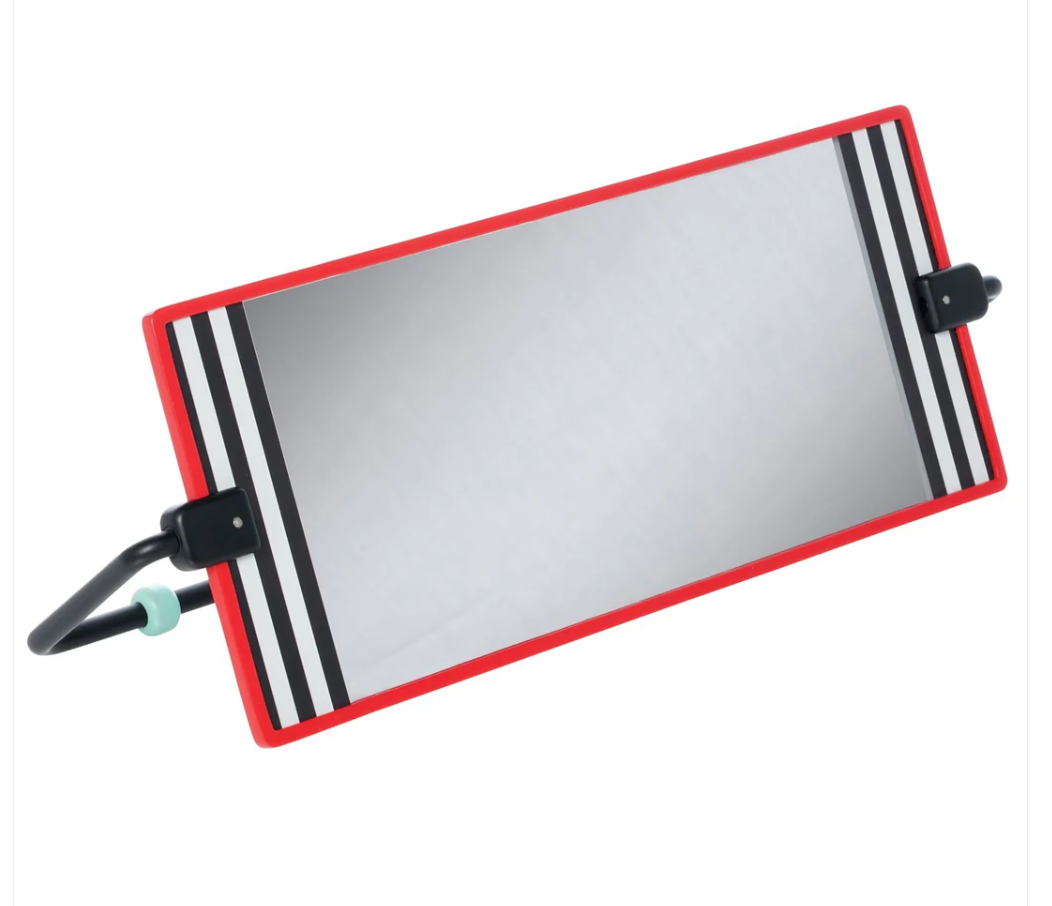 Wimmer Discovery Mirror