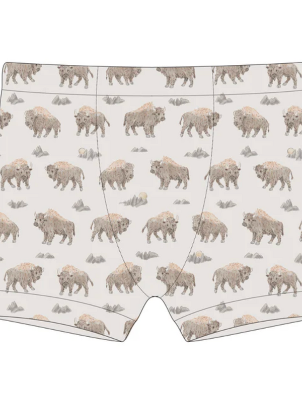 Training Boxer - Bison