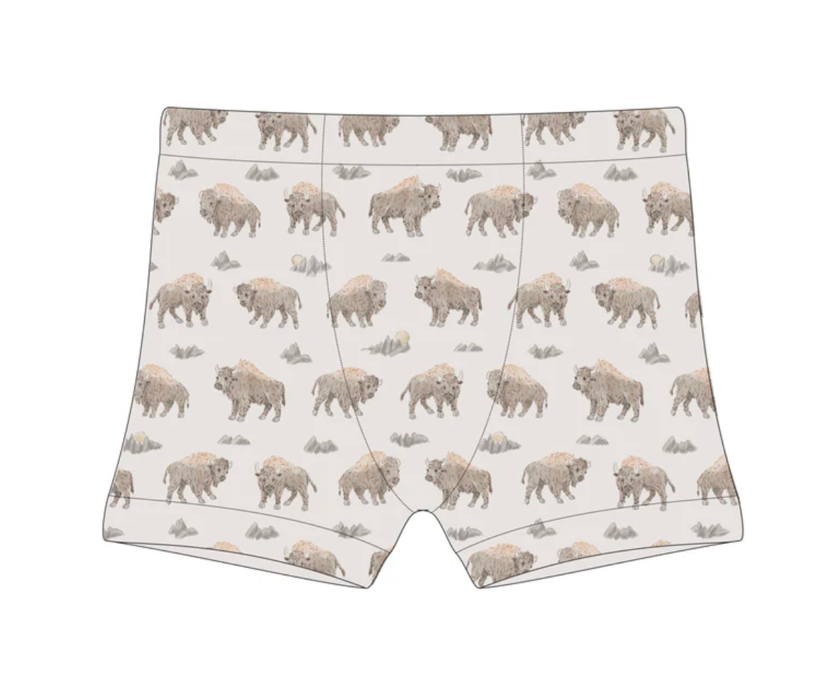 Training Boxer - Bison