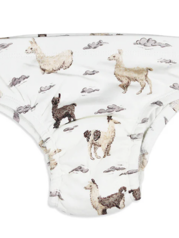 Training Brief - Llama