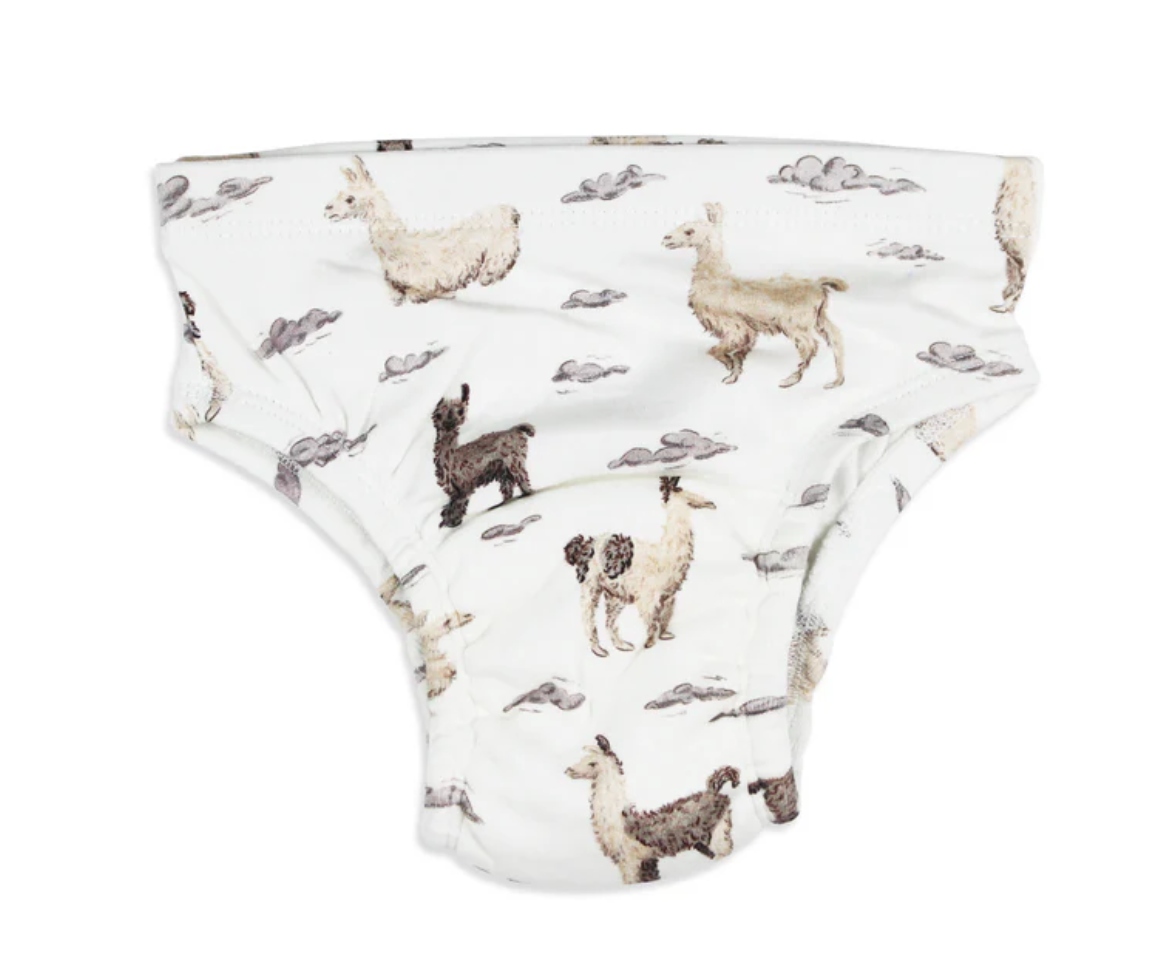 Training Brief - Llama