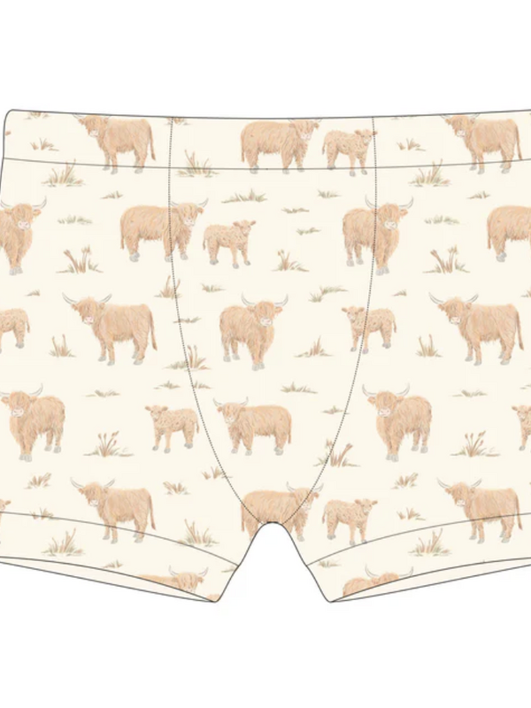 Training Boxer - Highland Cow