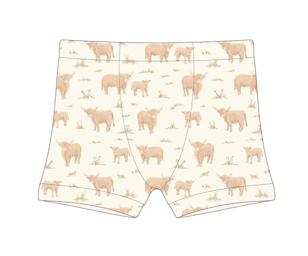 Training Boxer - Highland Cow