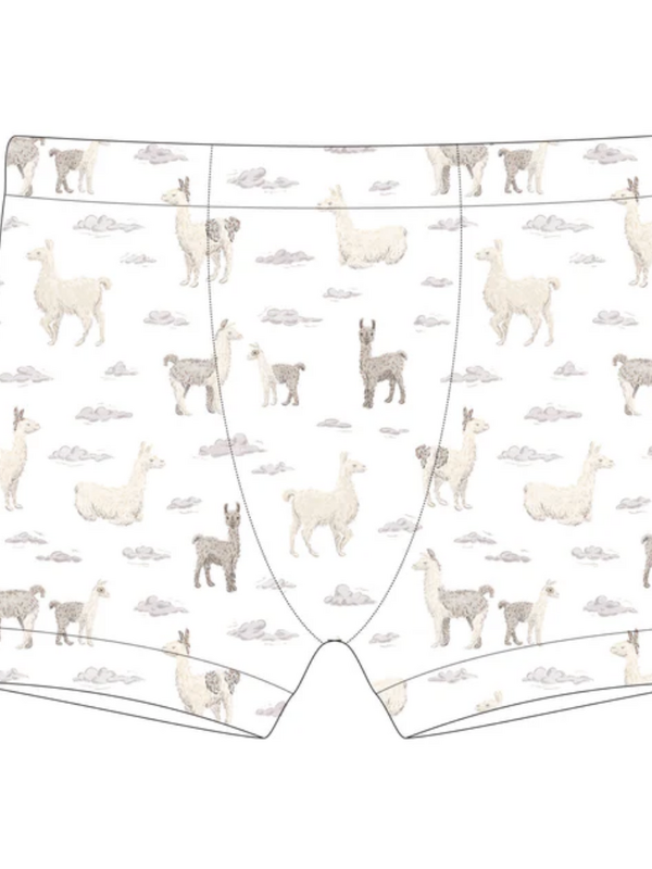 Training Boxer - Llama