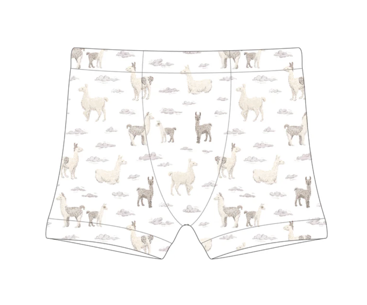 Training Boxer - Llama