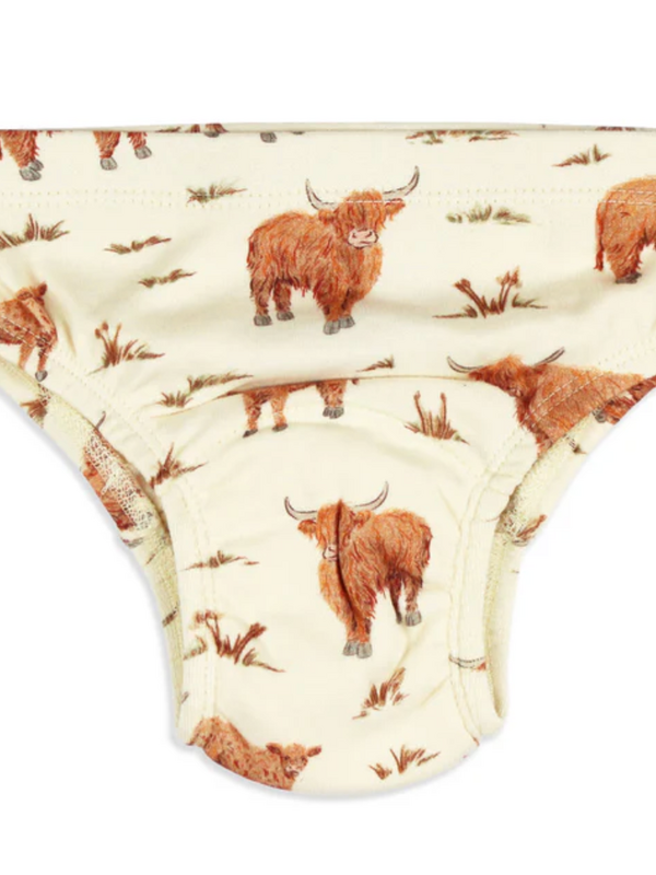 Training Brief - Highland Cow