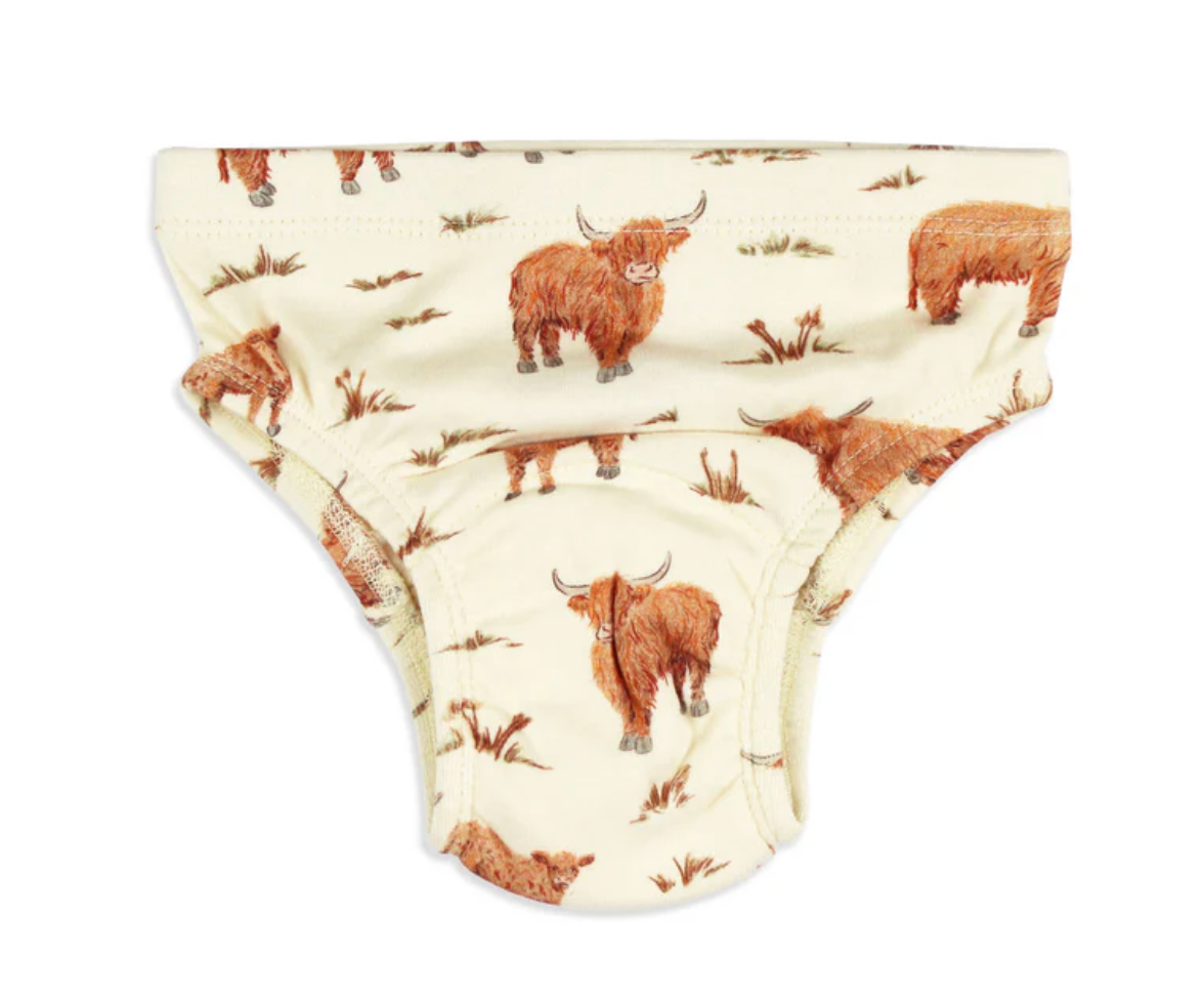 Training Brief - Highland Cow