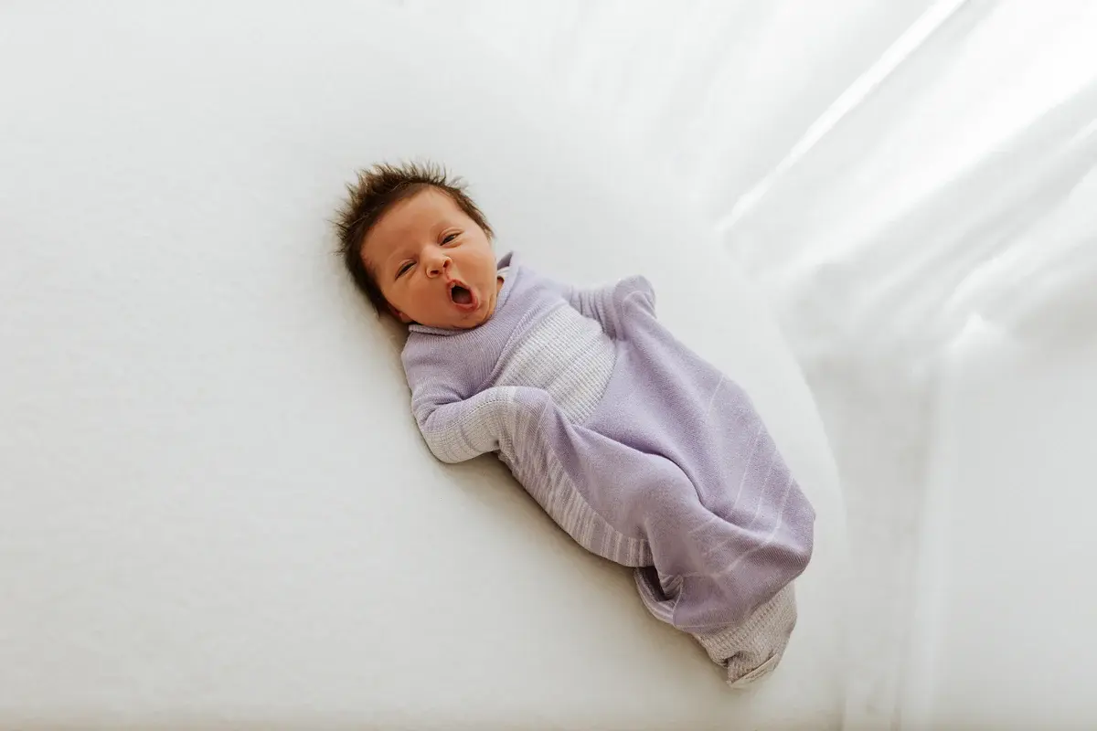 Swaddelini Swaddle Sleep Sack - Lavender
