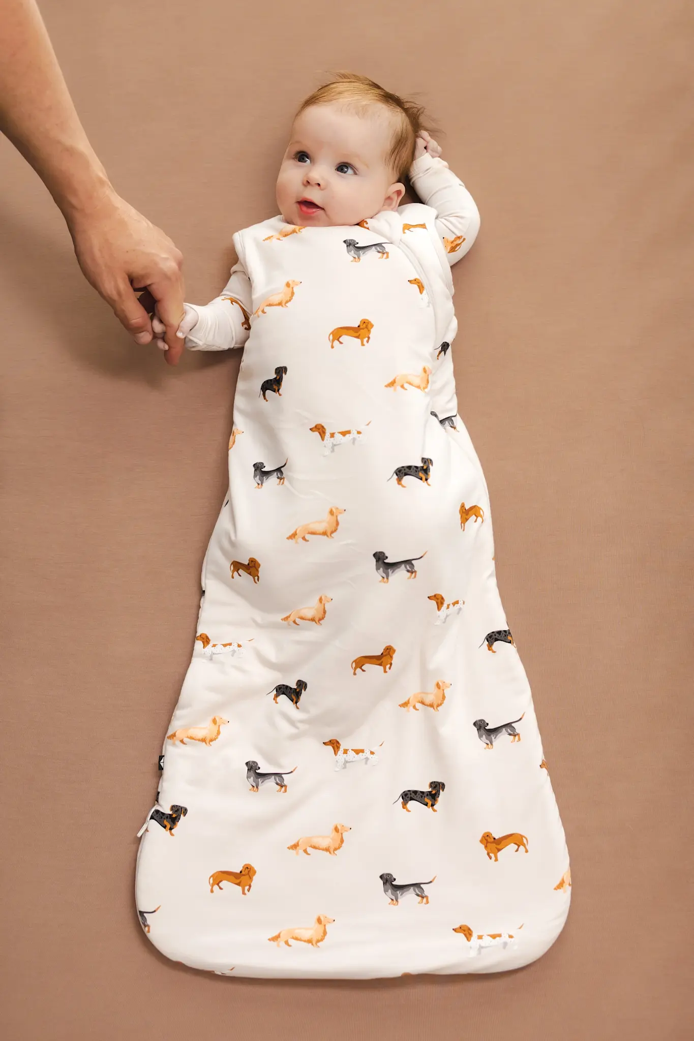 Kyte 1.0 tog Sleep Bag - Dachshund