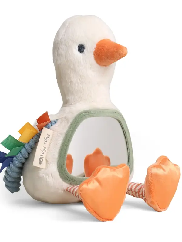 Itzy Ritzy Itzy Bitzy Mirror - Goose