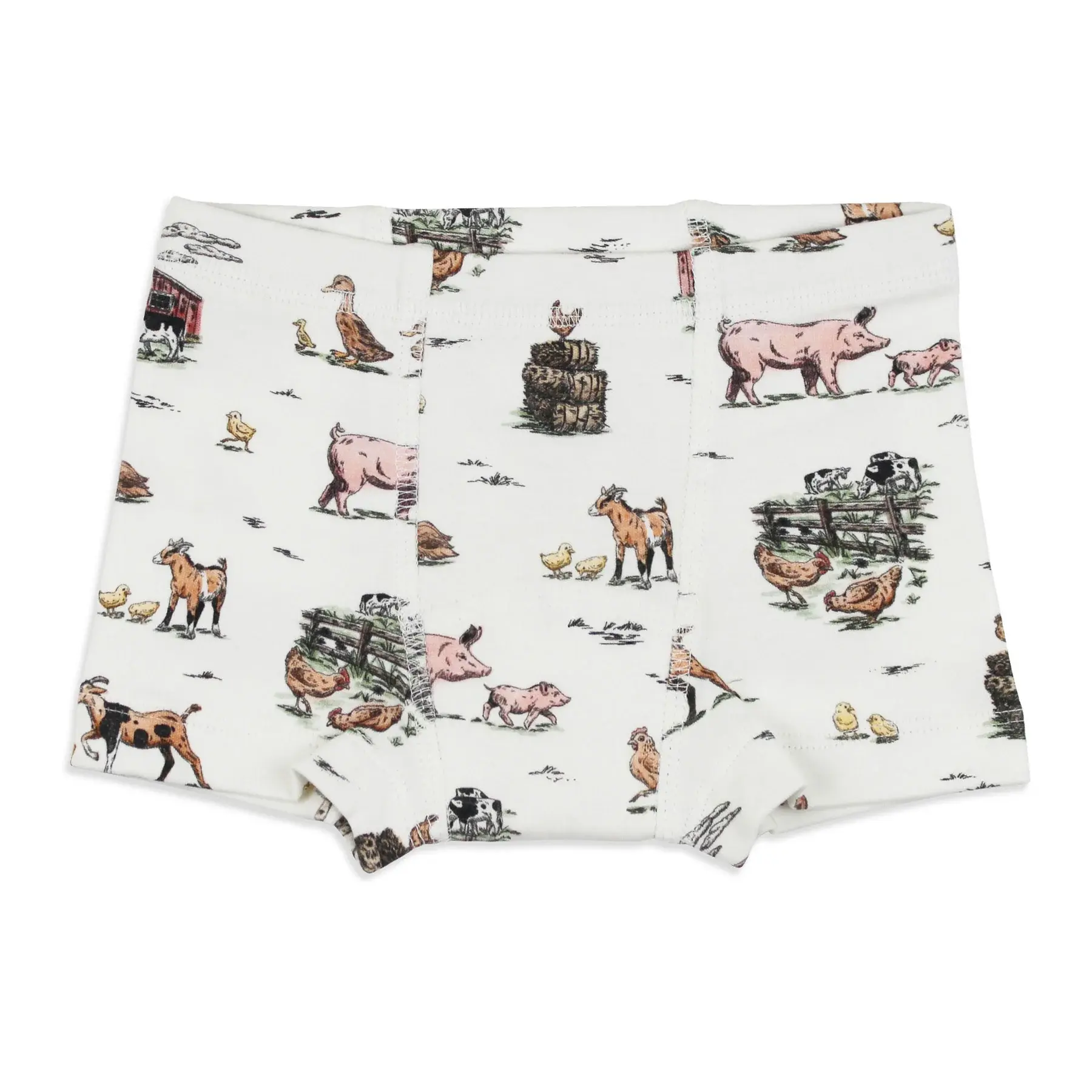 Training Boxer - Farm Friends