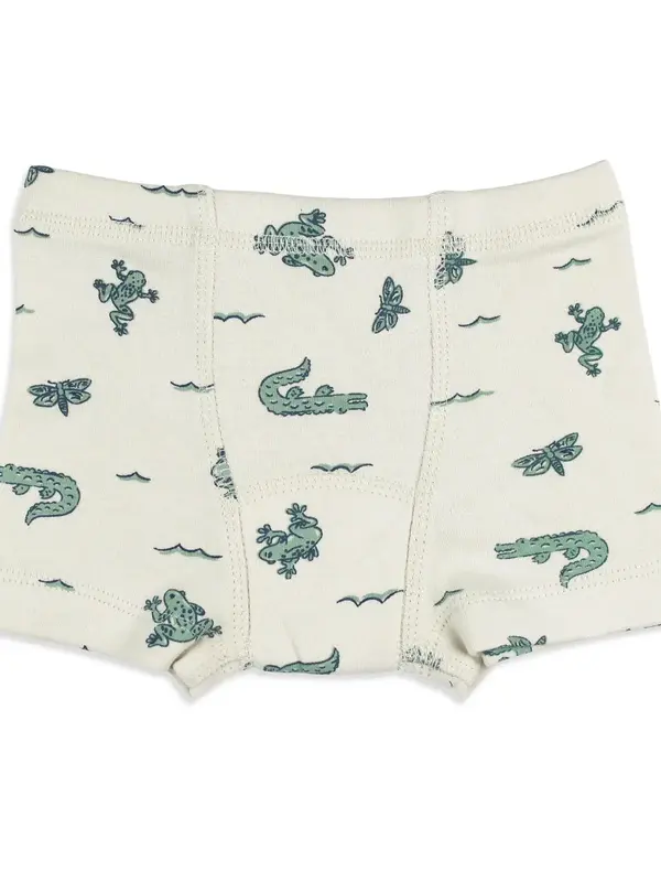 Training Boxer - Alligator