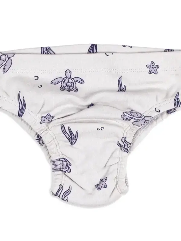 Training Brief - Sea Turtle
