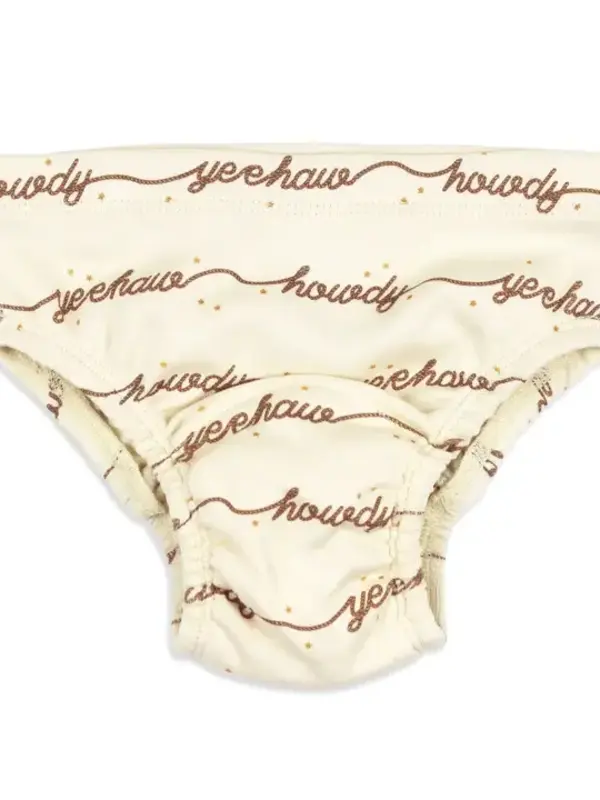 Training Brief - Howdy