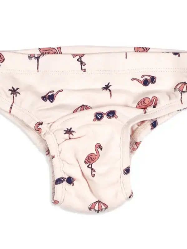 Training Brief - Flamingo