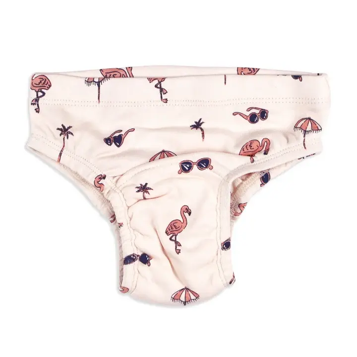 Training Brief - Flamingo