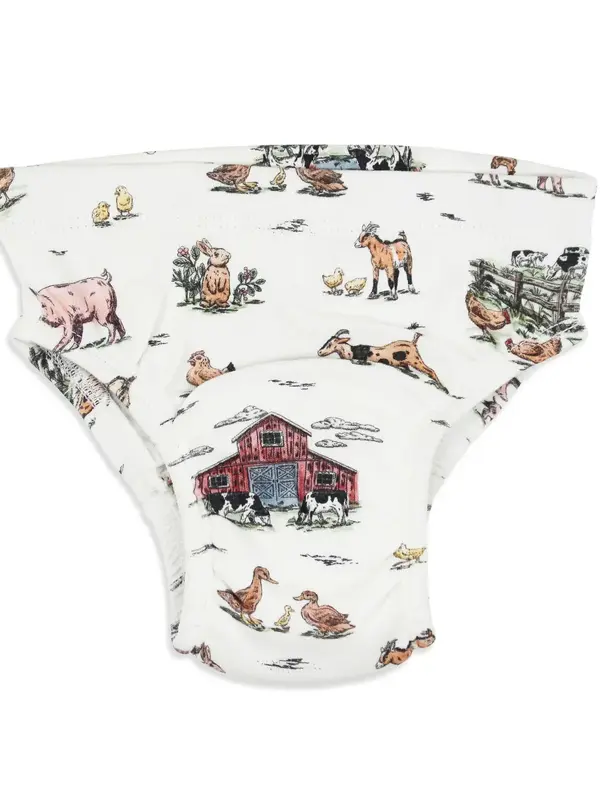 Training Brief - Farm Friends