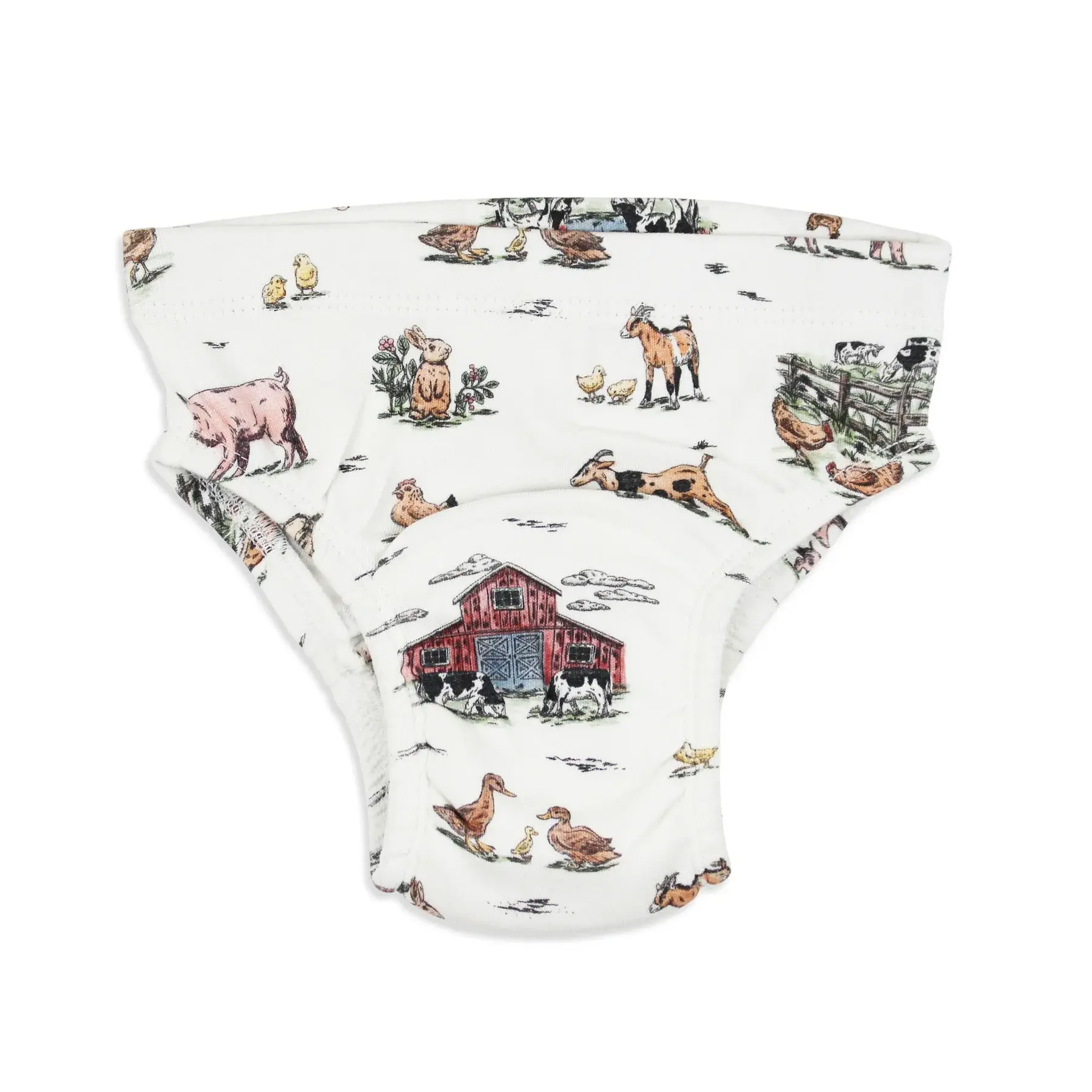 Training Brief - Farm Friends