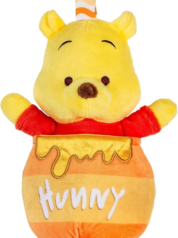 Kids Preferred Pooh Pull Down Ziggle Toy
