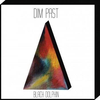 New Vinyl Dim Past - Black Dolphin 12"
