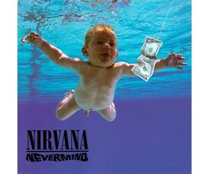 NIRVANA NEVERMIND ピクチャーレコード NIRVANA NEVERMIND ピクチャーレコード