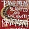 New Vinyl Pavement - Slanted & Enchanted LP