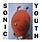 New Vinyl Sonic Youth - Dirty 2LP