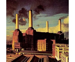 Pink Floyd - Animals LP - Sweat Records