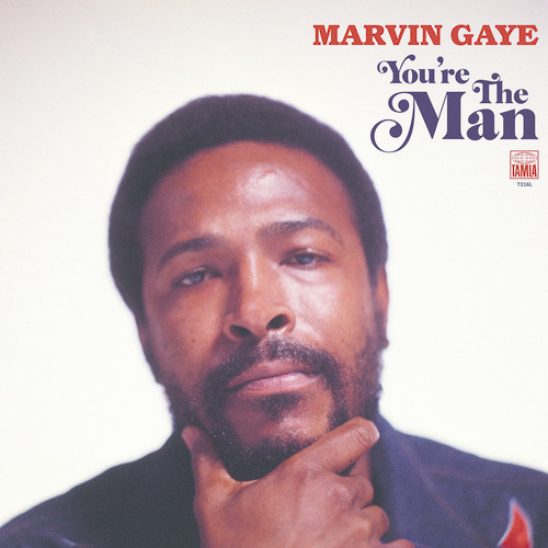 New Vinyl Marvin Gaye - You're The Man LP