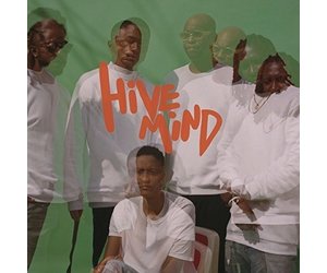 The Internet - Hive Mind 2LP - Sweat Records
