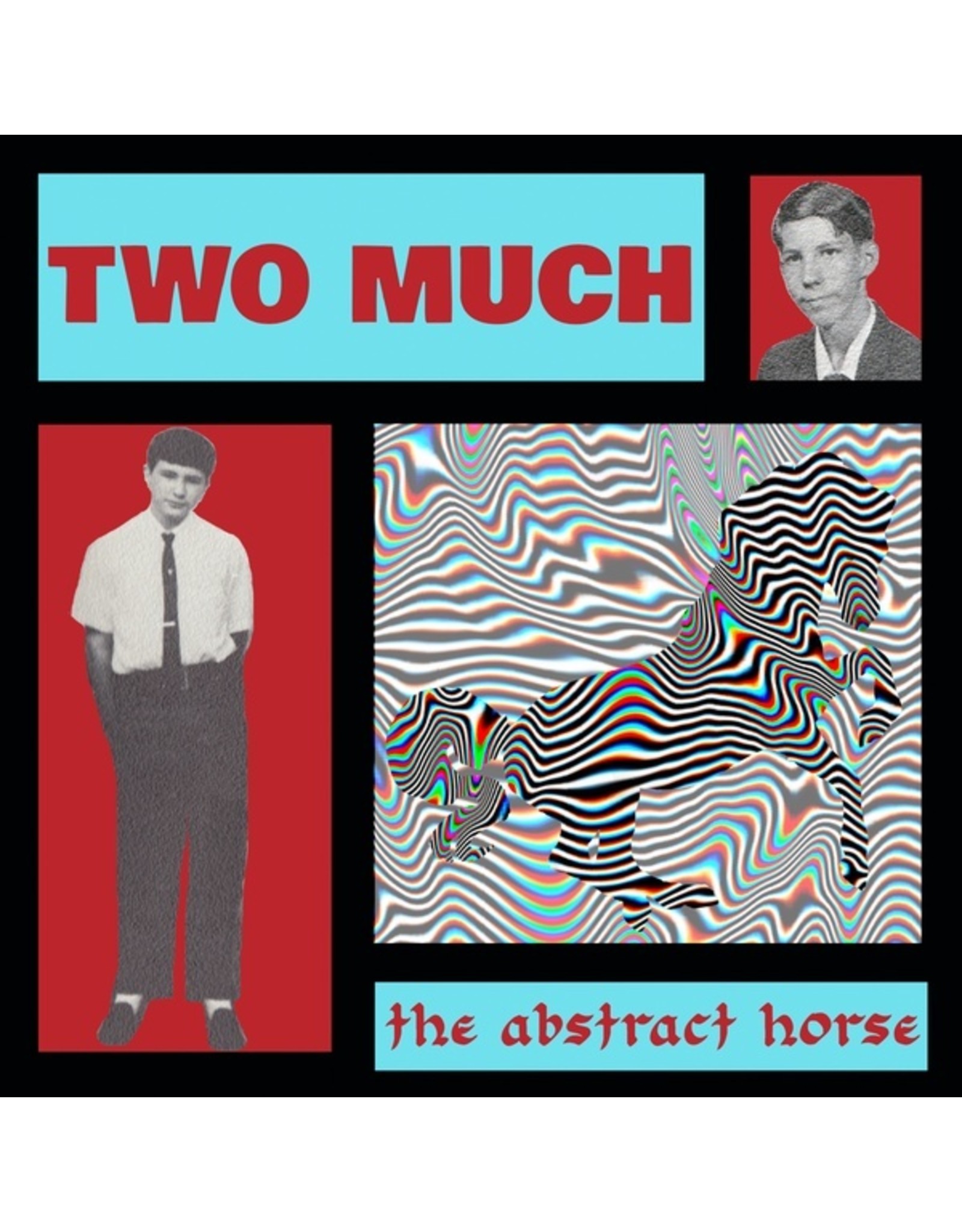 New Vinyl Two Much - The Abstract Horse LP
