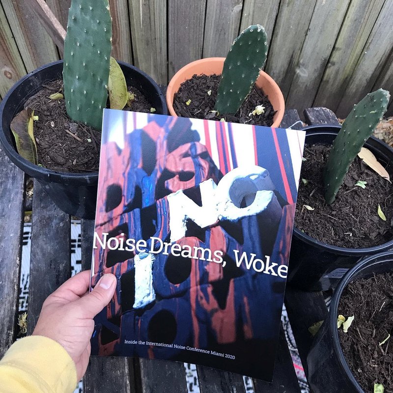 Book Noise Dreams, Woke (Paperback)