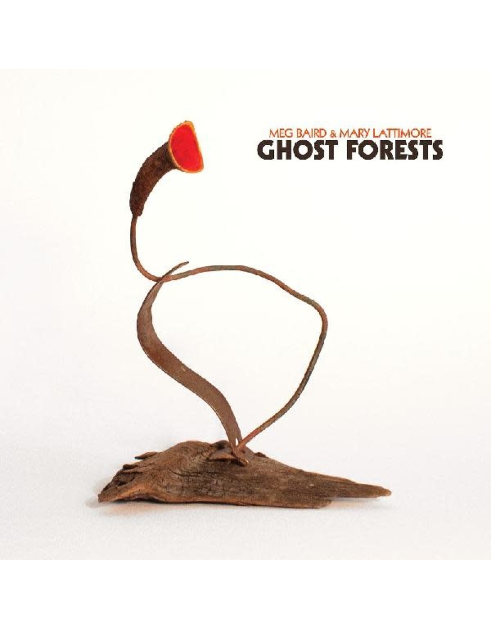 New Vinyl Meg Baird & Mary Lattimore - Ghost Forests (IEX, Clear) LP